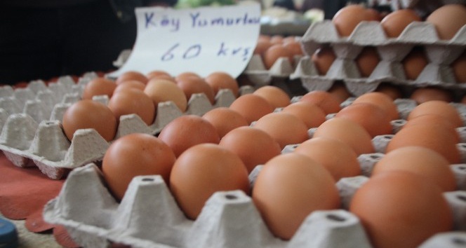 Organik yumurta daha sağlıklı
