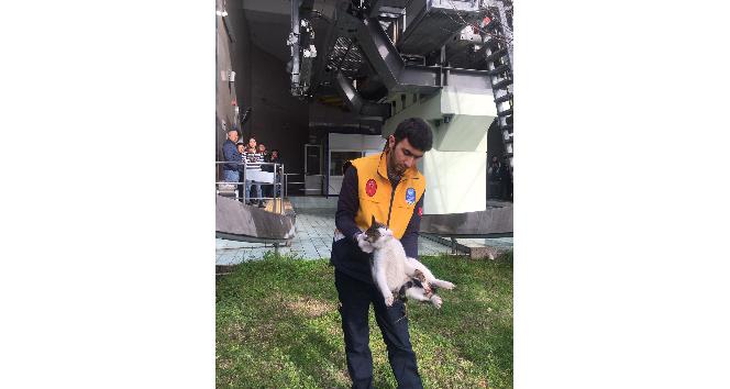 Yürüyen merdivene sıkışan kediyi veteriner ekipleri kurtardı
