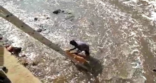 Dereye düşen sokak köpeğini kurtarmak için kıyafetleriyle suya atladı