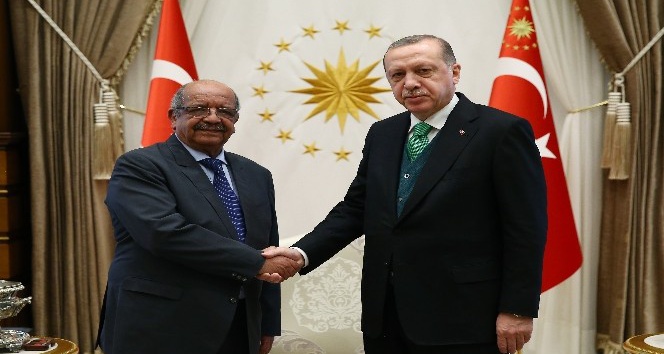 Cumhurbaşkanı Erdoğan, Cezayir Dışişleri Bakanı’nı kabul etti
