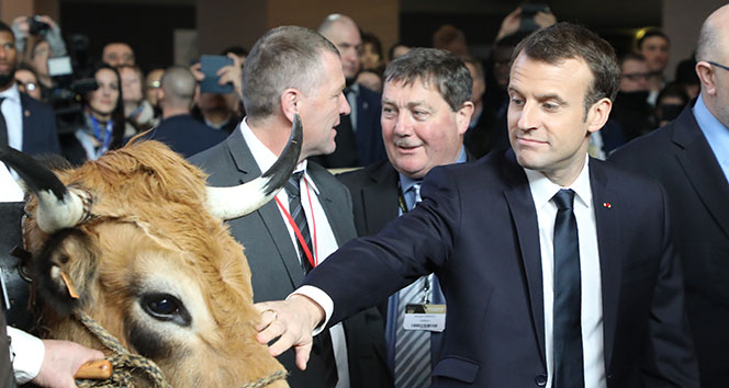 Macron’un tarım fuarında ilginç anları