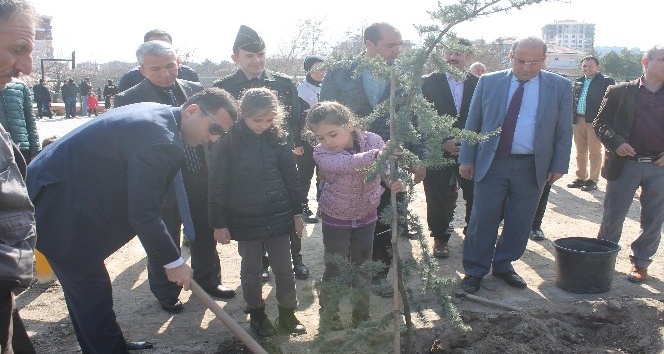 İlçe Kaymakamı Girgin, anaokulu öğrencileri ile ağaç dikimi kampanyasına katıldı