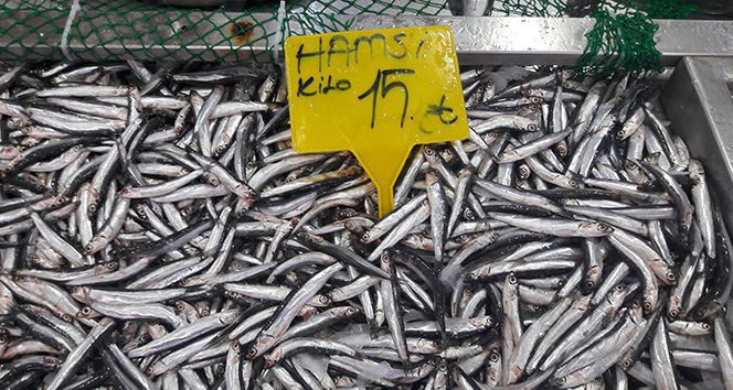 Kar yağdı balık fiyatları ucuzlamadı