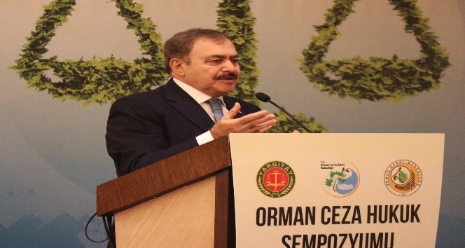 Orman ve Su İşleri Bakanı Veysel Eroğlu: