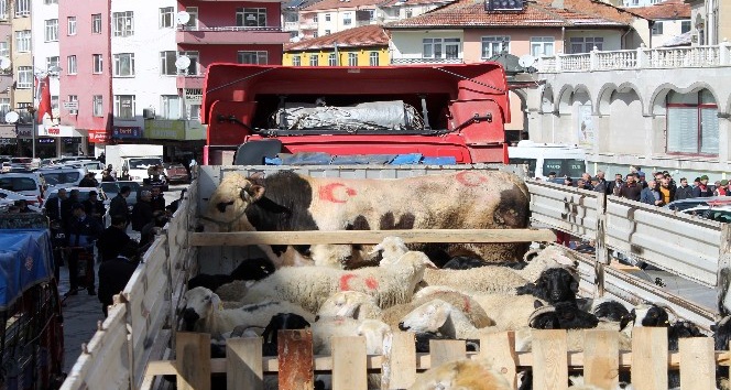 Mehmetçik için sürü bağışladılar