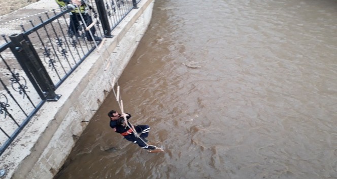 Gümüşhane’de dereye düşen kedi kurtarıldı