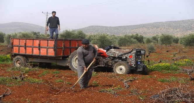 Suriye sınırında çiftçiler mesaiye başladı