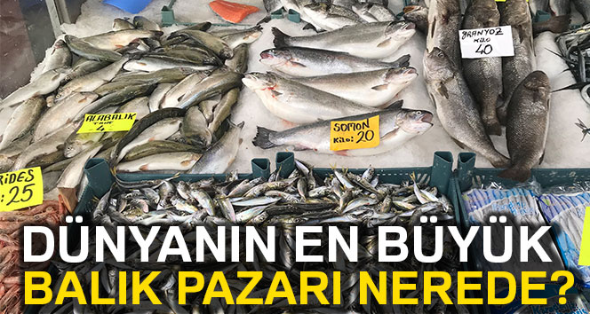 Dünyanın en büyük balık pazarı nerede ?