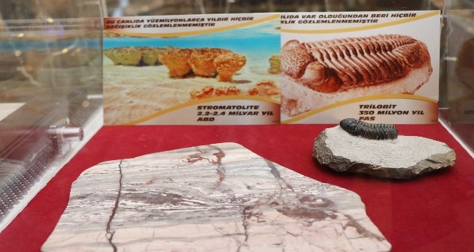 (Özel) 2 milyar yıllık fosil Nevşehir’de sergileniyor