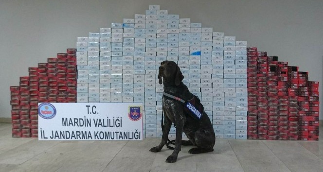 Kızıltepe’de kaçak sigara operasyonu