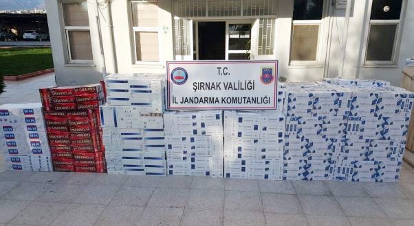 Şırnak’ta 27 bin 110 paket kaçak sigara ele geçirildi