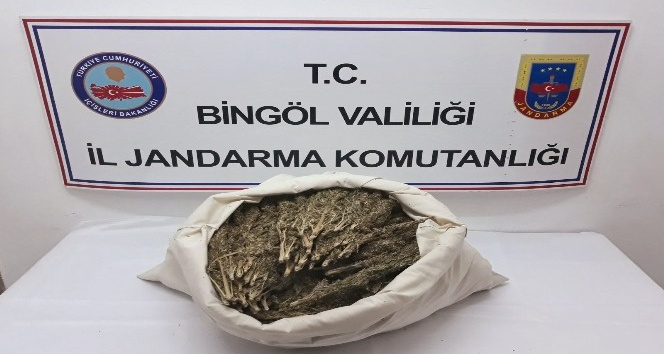 Bingöl’de 10 kilogram esrar ele geçirildi