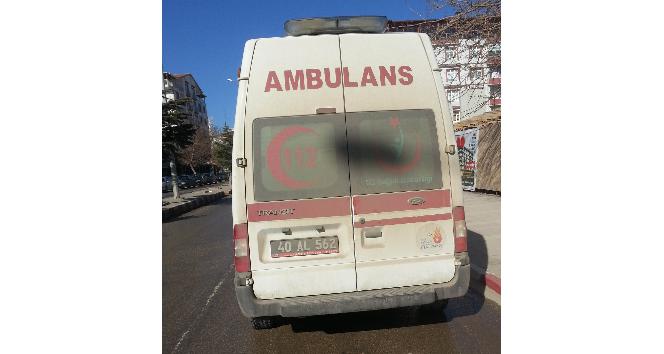 Yaşlı kadın evinde ölü bulundu