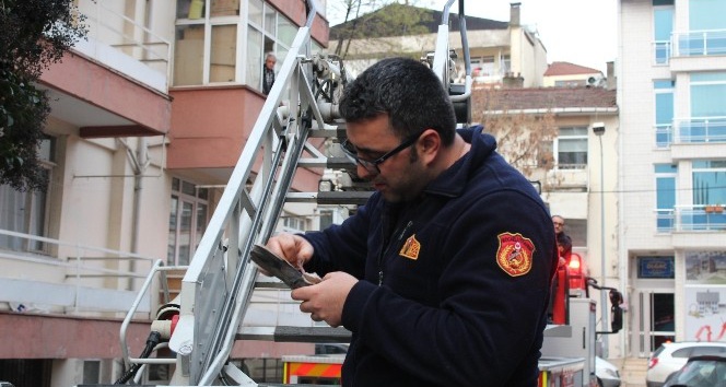 Ağaçta mahsur kalan güvercin için vatandaşlar ve itfaiye seferber oldu