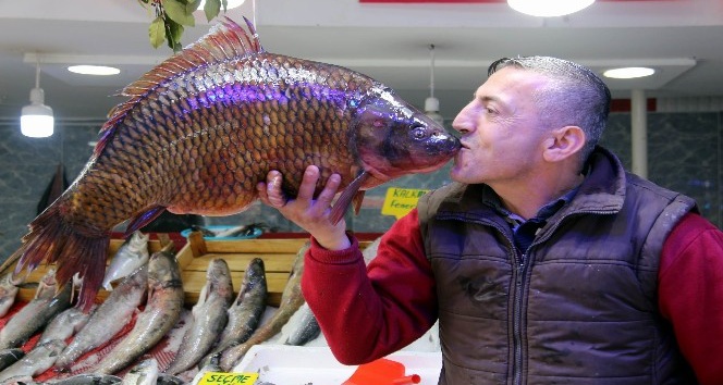 10,5 kiloluk sazan ve 65 kiloluk yayın balığı görenleri şaşırttı