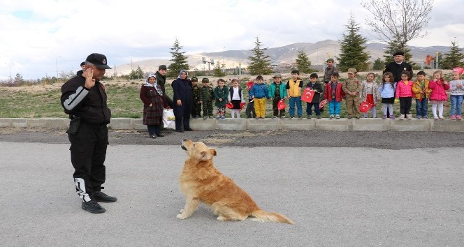 Arama köpeği ’Aza’ Anaokulu öğrencilerini hayran bıraktı