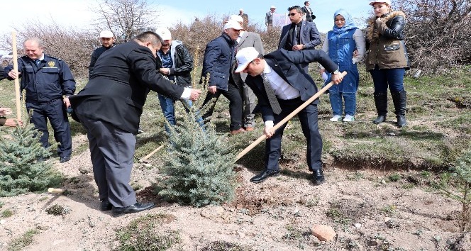Yozgat’ta 700 fidan toprakla buluştu