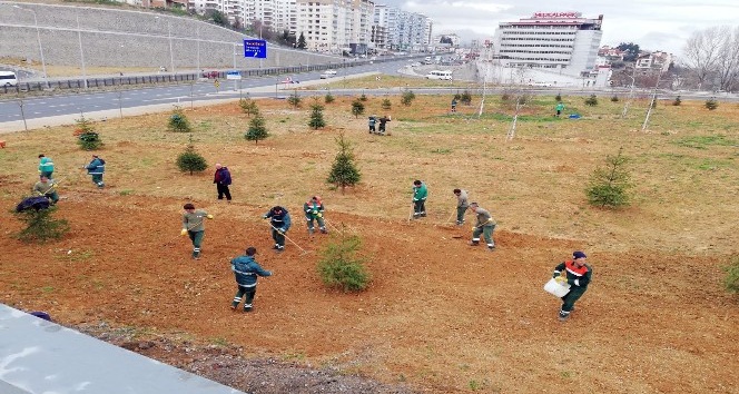 Trabzon’un güzelleşmesi için 114 bin 307 ağaç dikildi