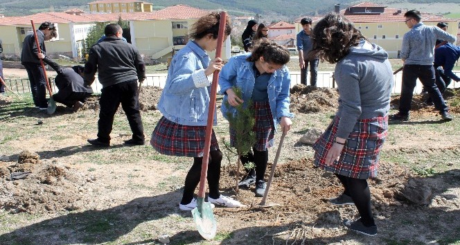 Akdağmadeni’nde öğrenciler okul bahçesine ağaç dikti