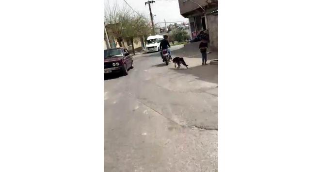 Vicdansızlığın böylesi görülmedi