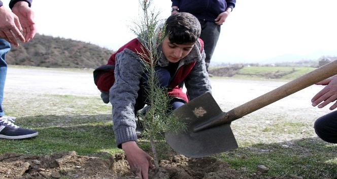 Hizan’da ağaçlandırma çalışması