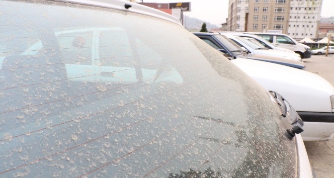 Zonguldak’ta çamur yağdı, sürücüler şaşırdı