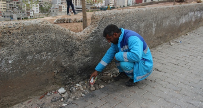 Temizlik işçisi okul yoluna tuzaklanmış bomba buldu
