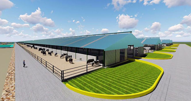 Üyelerden 120 milyon toplayan Sütbank’ta yönetim değişti