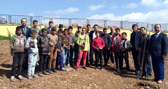 Musabeyli’de öğrenciler fidan dikti
