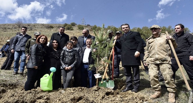 Şehit Astsubay Gedik için 524 fidan Gümüşhane’de toprakla buluştu