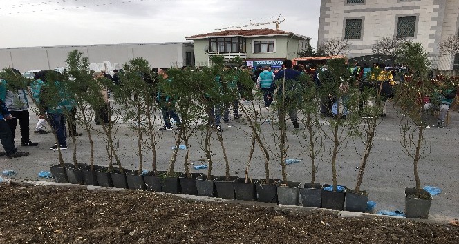 Esenyurt’ta denetimli serbestlik hükümlüleri ağaç dikti