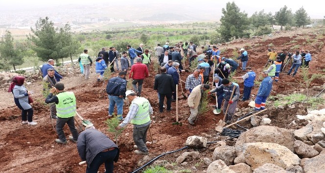 Kilis’te 2 bin fidan daha toprakla buluştu