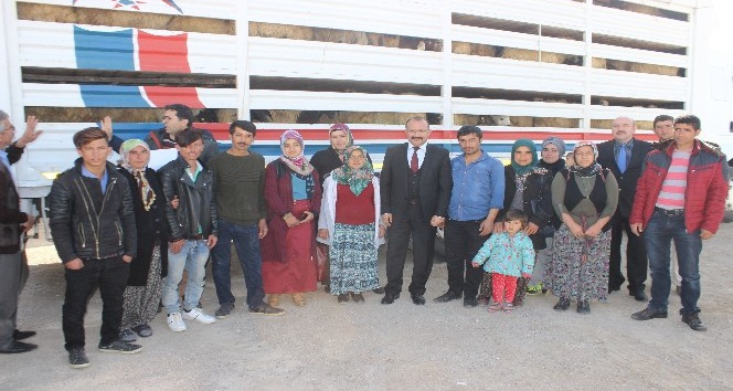 Karaman’da genç çiftçiler, koyunlarını teslim aldı