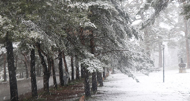 Bolu’da kar yağışı başladı