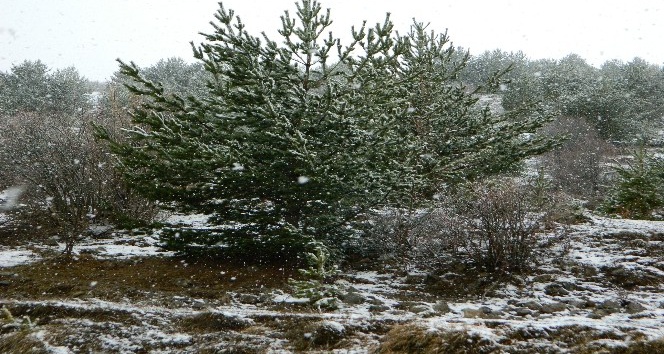 Posof’ta kar yağışı