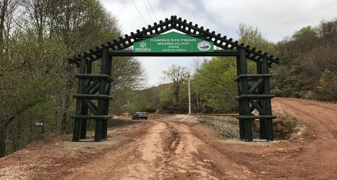 Dümbüldek Suyu, mesire alanıyla şifa dağıtacak