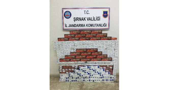 Şırnak’ta 6 bin 160 paket kaçak sigara ele geçirildi