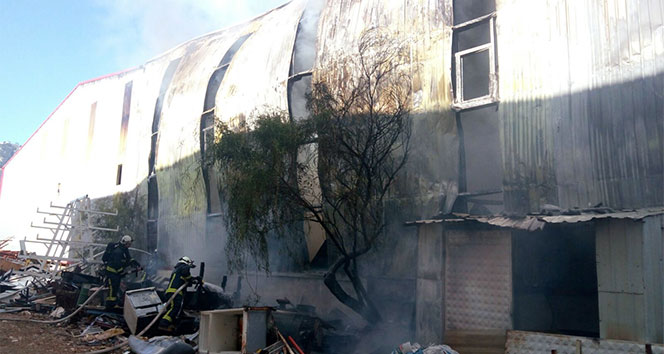 Antalya serbest bölgede yangın