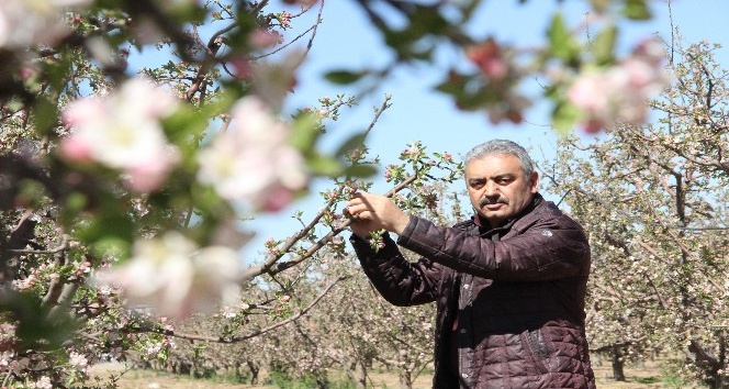 Karaman’da elmayı don vurdu