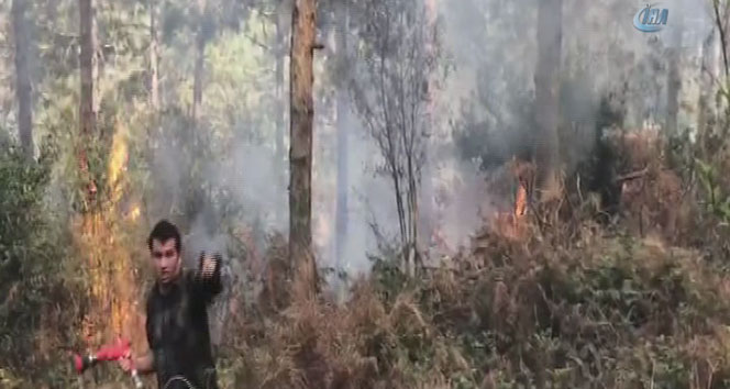 Sancaktepe Aydos Ormanı&#039;nda yangın çıktı