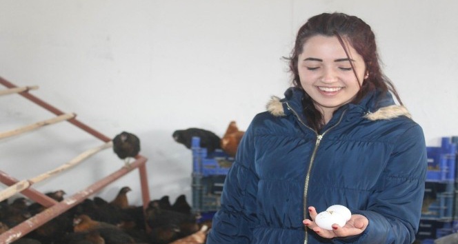 Öğrenciler okulda kurulan kümeste yumurta üretiyor