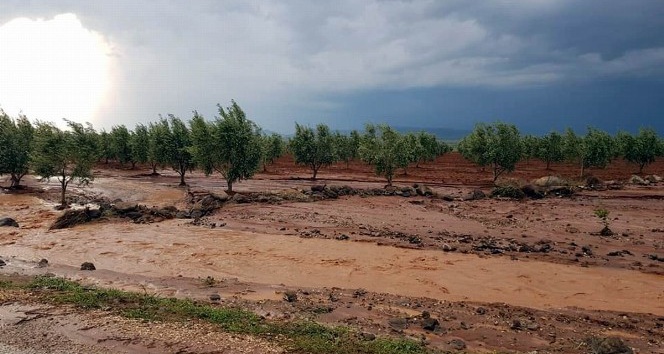 Yağmur ve dolu yağışı Kilis’te büyük hasara yol açtı