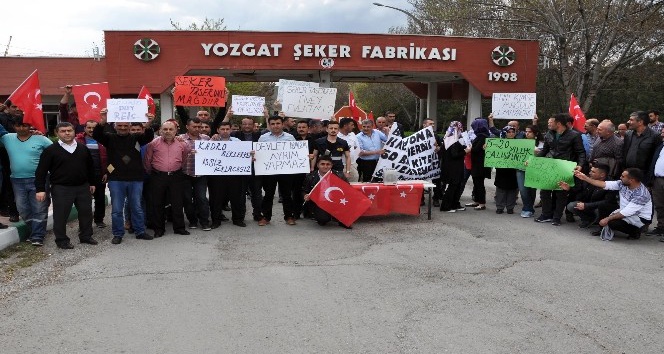 Yozgat Şeker Fabrikası’nda çalışan taşeron işçiler kadro istiyor