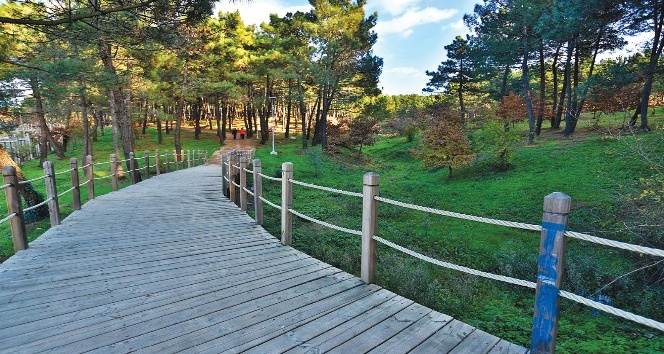 Ümraniye mesire alanı, piknik sezonuna merhaba dedi