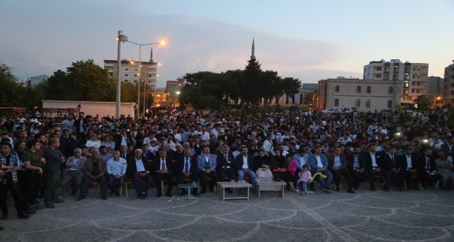 Cizre’deki Nergis Festivali sona erdi