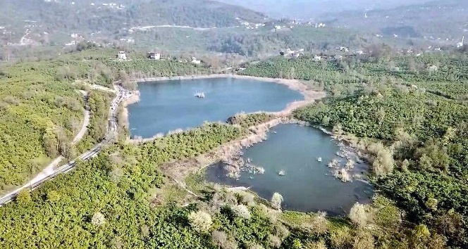 Fatsa Gaga Gölü büyülüyor