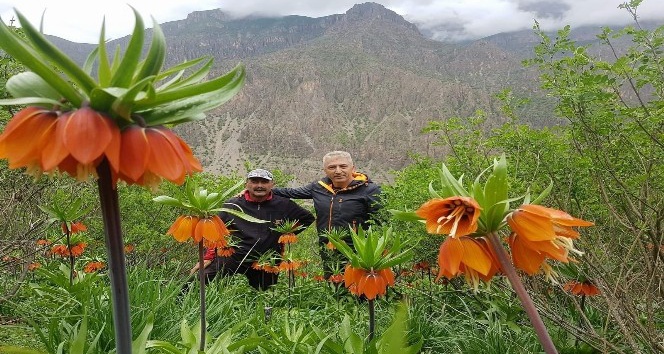 Hakkarili dağcılar Çiçek Vadisine ziyaret