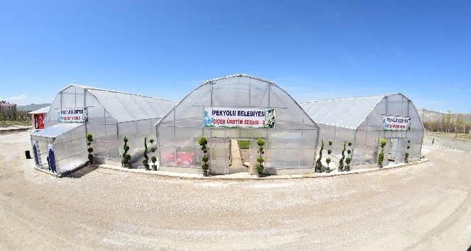 İpekyolu Belediyesinden çiçek üretim serası