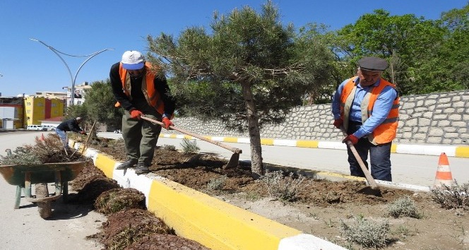 Şırnak Belediyesi, refüj düzenleme çalışması başlattı