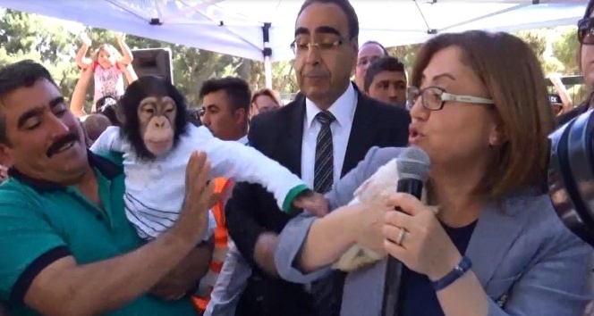 Fatma Şahin, maymun Can’ın hışmına uğradı